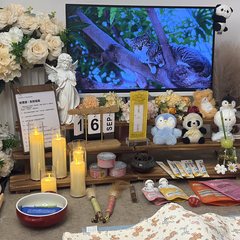 宠物家长客户见证
