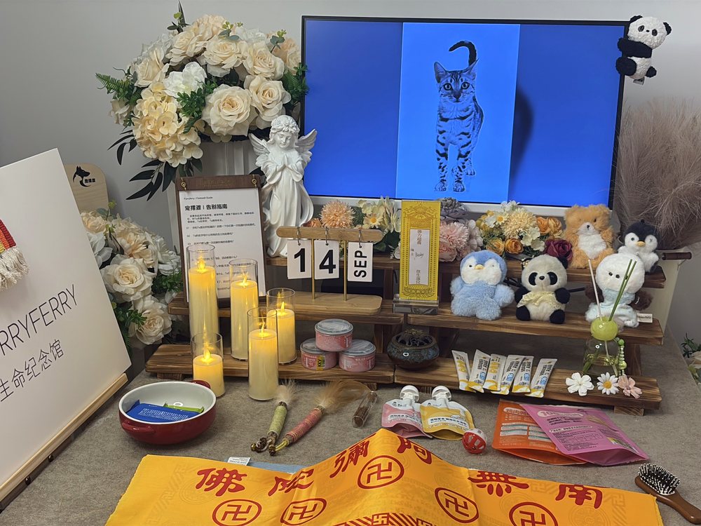 宠物告别仪式现场布置