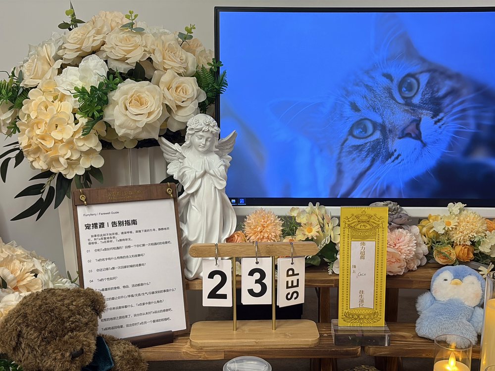 株洲宠物殡葬单独火化告别区